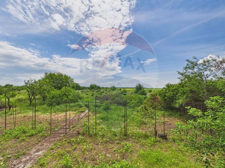 Casă 65 mp + teren 4000 mp, livadă, Butimanu - 27