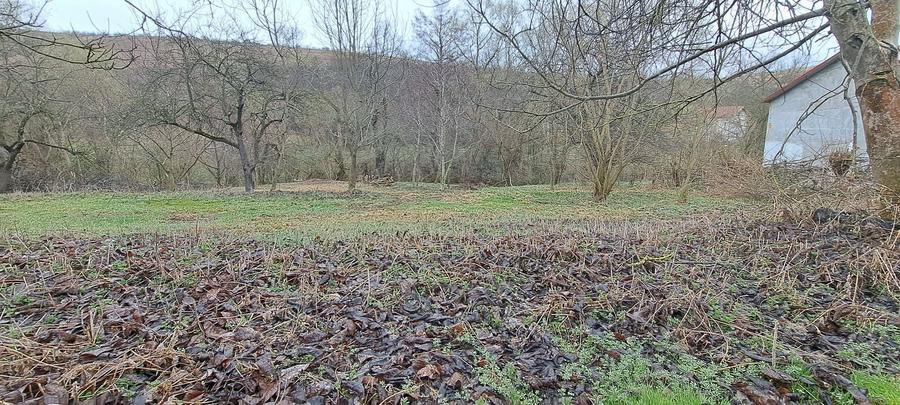 Teren de 4300 mp, în Ciurila
