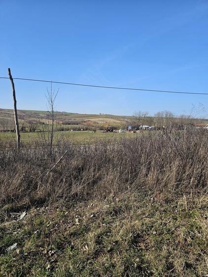 Teren agricol intravilan de 1500 mp, în Cetariu