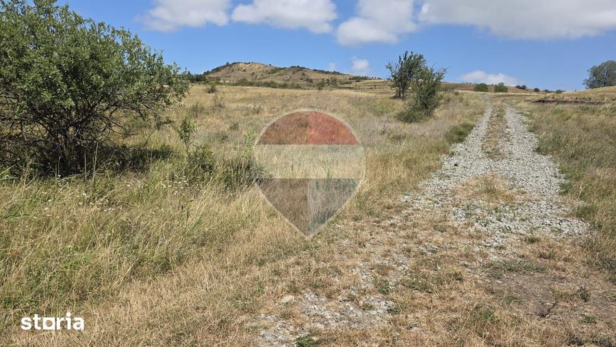 Teren intravilan de vanzare 843 mp Chinteni - 6