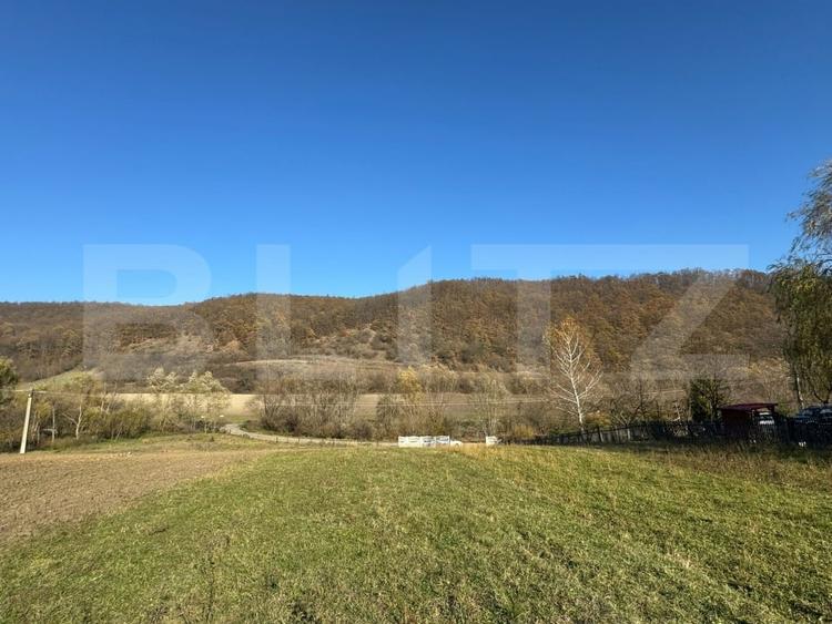 Teren Construcții extravilan de 2700 mp, în Cozia