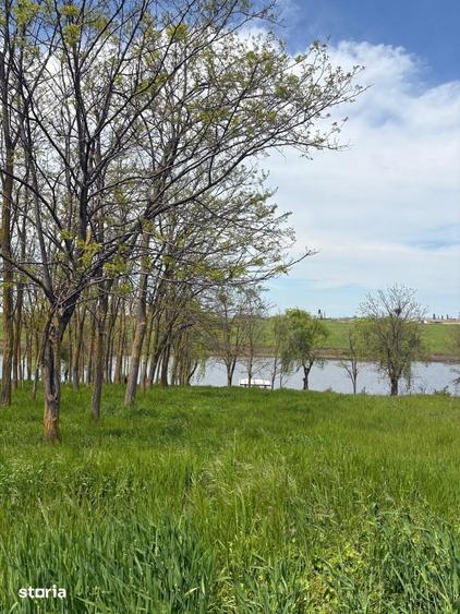 Oportunitate ideala pentru casa langa lac si padure de salcami - 5