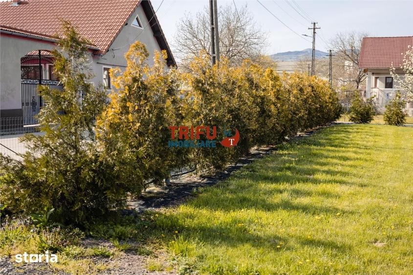 Teren de 11771 mp, în Vințu de Jos