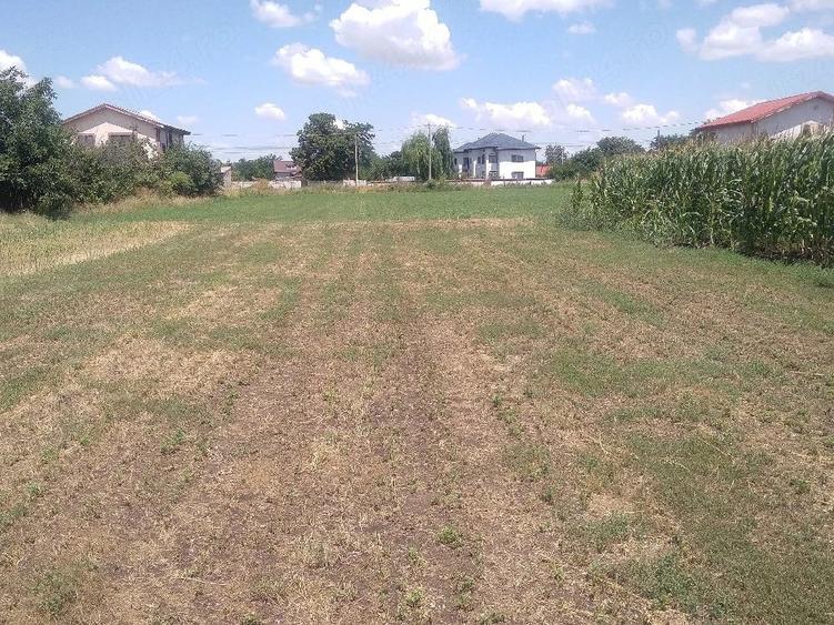 Teren de 2350 mp, în Frătești