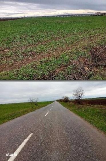 Teren extravilan cota parte 1/6, Targusoru Vechi, ID: R3063193 - 7