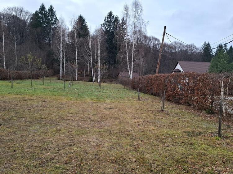 Teren Construcții intravilan de 2000 mp, în Sud-Vest