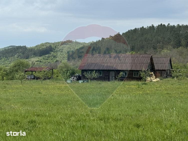 Casă cu 4 camere cu Teren 57600 Mp în Zimbor