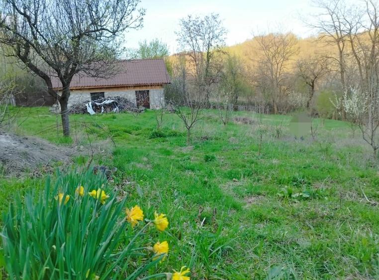 Casă cu 3 camere cu Teren 5200 Mp în Schela