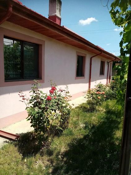 Casă cu Teren 1388 Mp în Dragalina