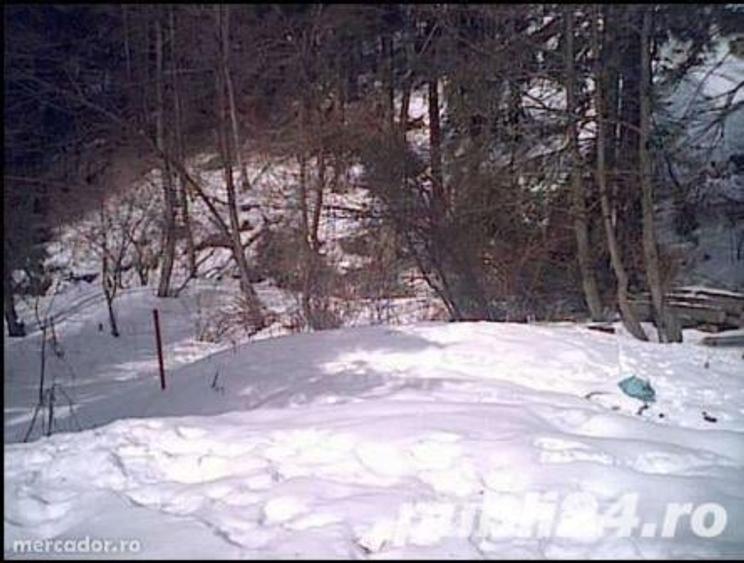 Teren de 417 mp, în Cioplea