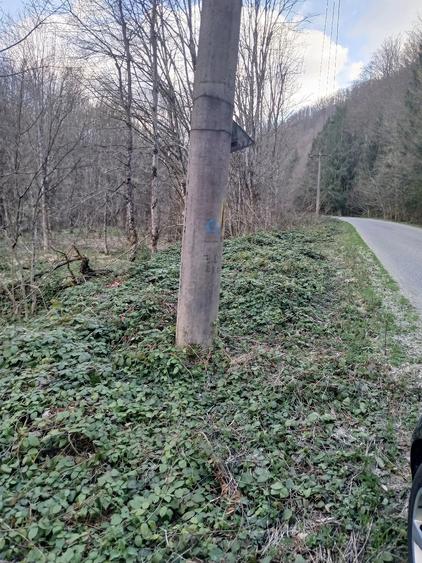 Teren de 1650 mp, în Central
