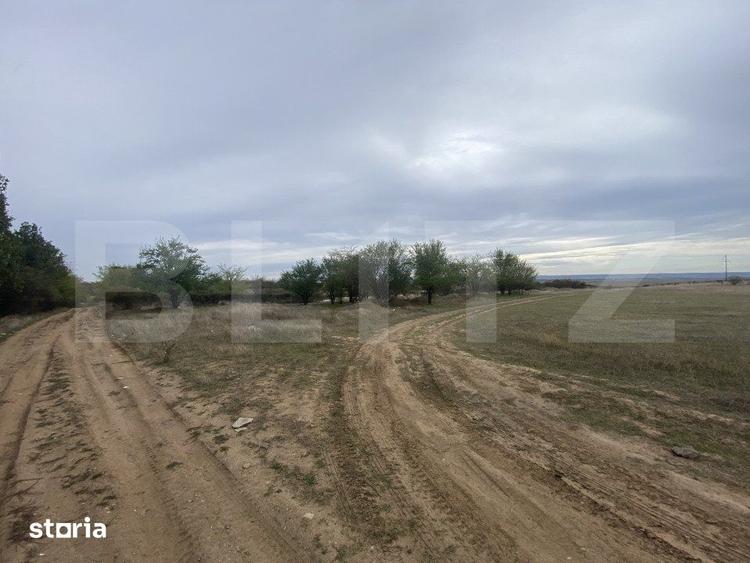 Teren de 15000 mp, în Coșoveni