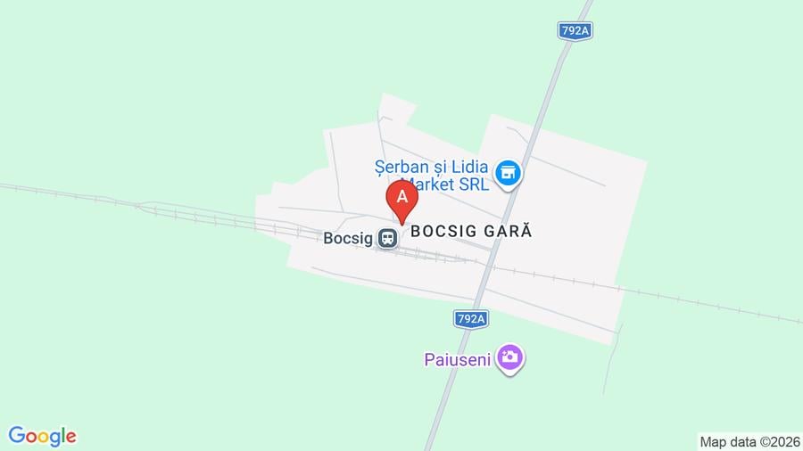 Teren agricol extravilan de 56000 mp, în Bocsig
