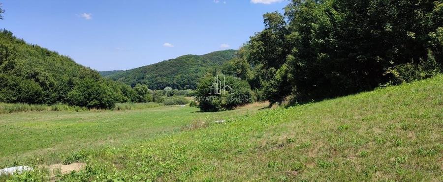 Teren agricol extravilan de 20 mp, în Daneș