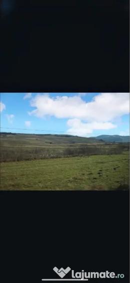 Teren de 28000 mp, în Șoarș