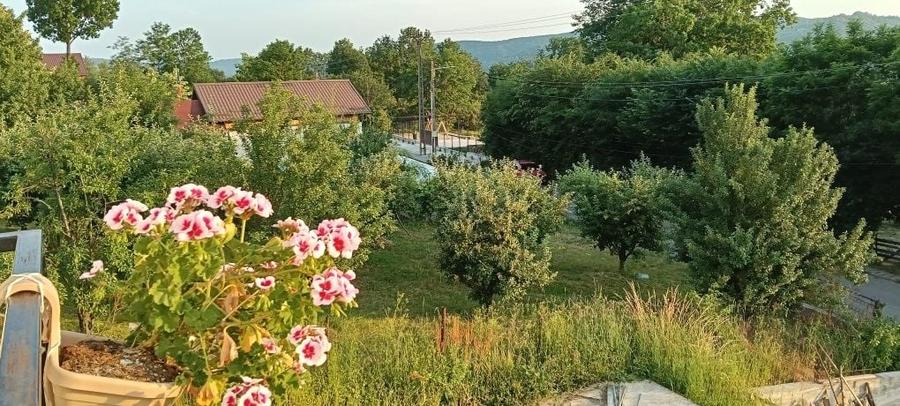 Casă cu 4 camere în Central