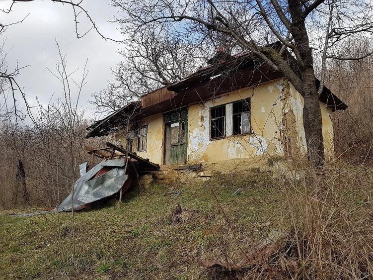 Teren de 2700 mp, în Telega