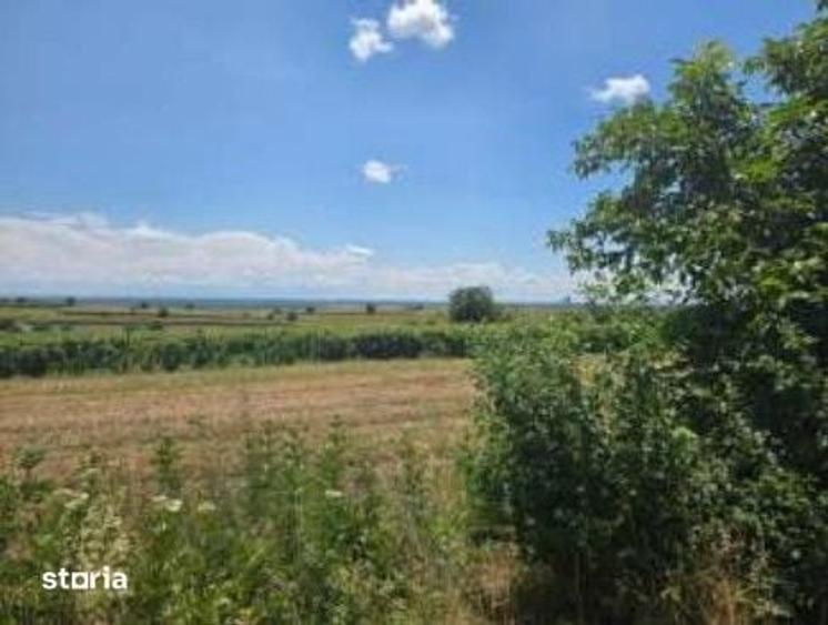 Teren de 10000 mp, în Prundu