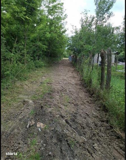Teren de 3000 mp, în Cocorăștii Mislii