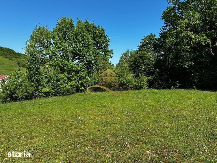 Teren de 1439 mp, în Mărgineni