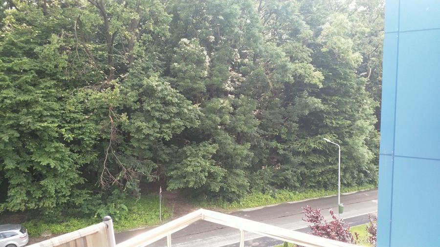 Apartament cu 2 camere decomandat, mobilat în Băneasa