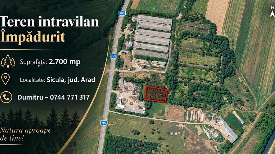 Teren intravilan de 2700 mp, în Șicula