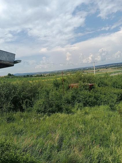 Casă cu Teren 1300 Mp în Tărcaia