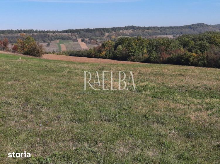 Teren de vanzare 47,4 ha| Judetul GORJ| BORASCU BOLBOSI - 1