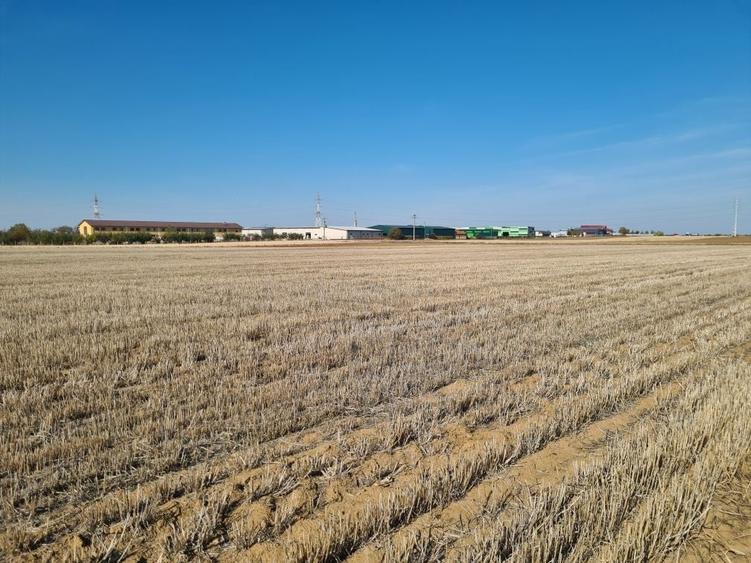 Teren de 66400 mp, în Biharia