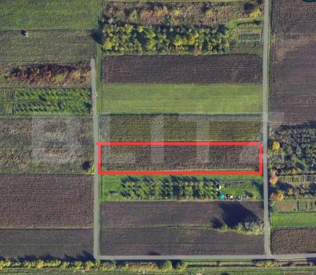 Teren agricol extravilan de 3600 mp, în Amați