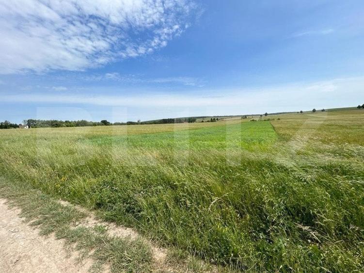Teren Construcții intravilan de 8000 mp, în Nord