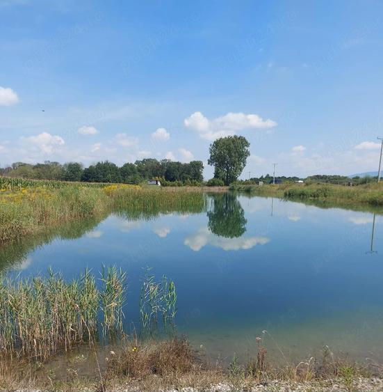 Teren de 21800 mp, în Hărman