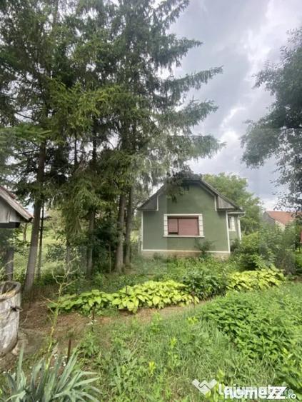 Casă cu 3 camere cu Teren 2100 Mp în Central