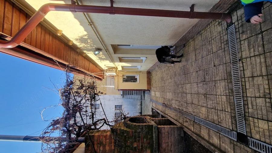 Casă cu 2 camere cu Teren 200 Mp în Rahova