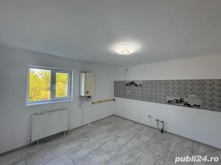 Vand casa Roman - 1
