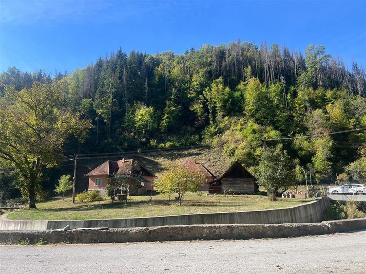 Casă individuală cu 4 camere cu Teren 7650 Mp în Mihăileni