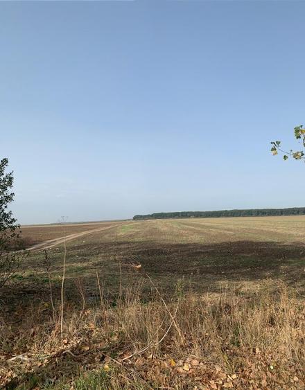 Teren Construcții intravilan de 3000 mp, în Afumați