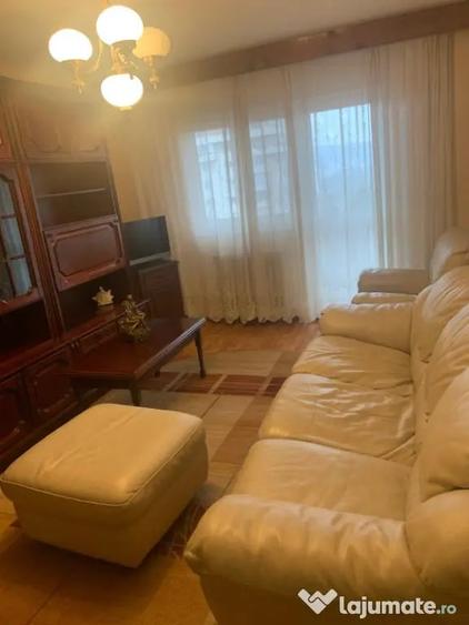Apartament 2 camere -zona USAMV si Platinia - 2