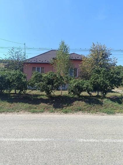 Casă cu 4 camere cu Teren 4925 Mp în Central