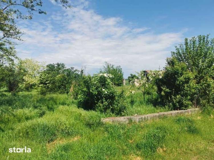 Teren de 1400 mp, în Central