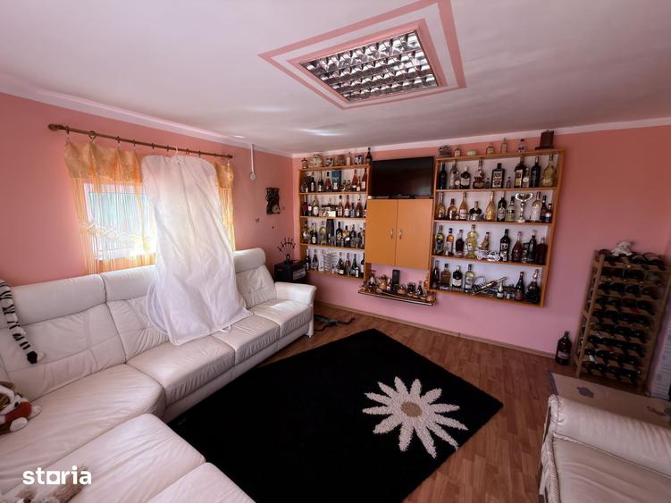 Casă cu 5 camere cu Teren 5000 Mp în Mihai Eminescu