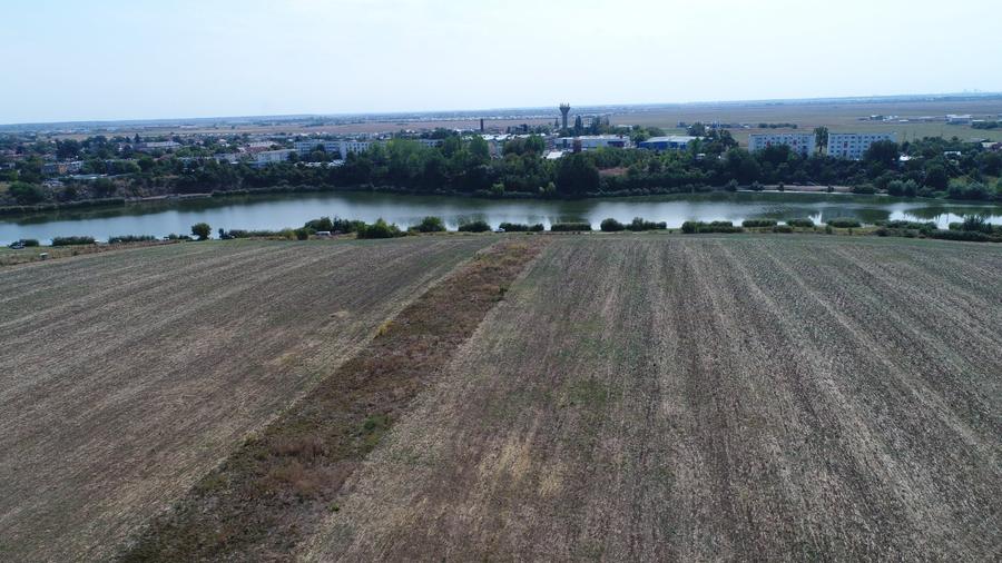 Teren Construcții intravilan de 5000 mp, în Balotești