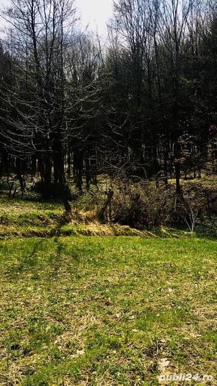 Teren de 5000 mp, în Central