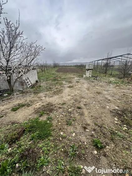 Casă cu 5 camere cu Teren 2400 Mp în Central