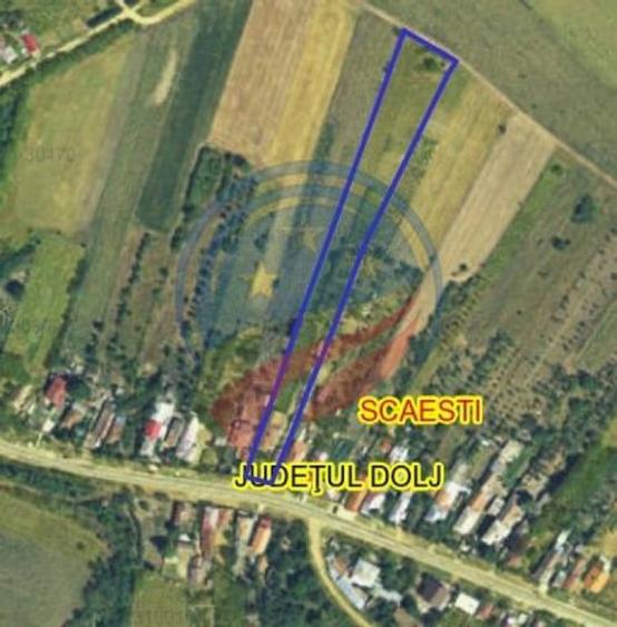 Casă cu 3 camere cu Teren 5473 Mp în Scăești