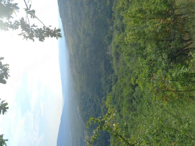 Teren de 27000 mp, în Mănăstirea