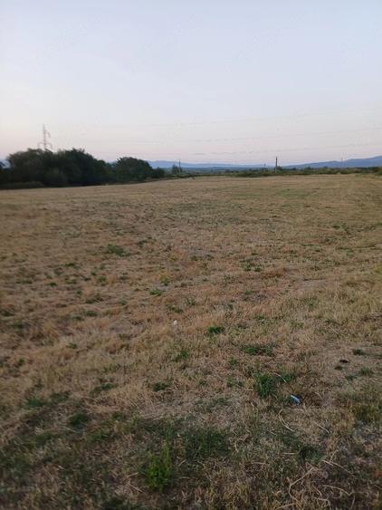 Teren de 15000 mp, în Central