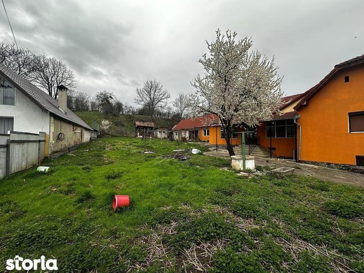 Casă cu 4 camere cu Teren 1900 Mp în Șura Mare