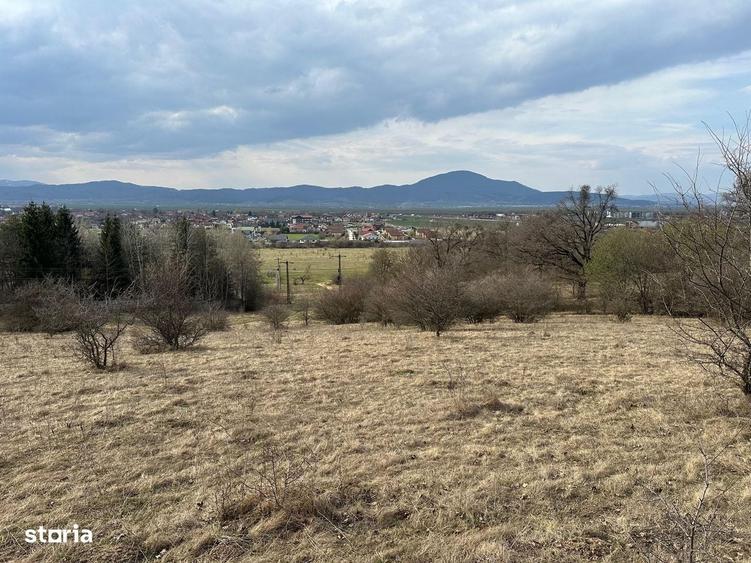 Teren de 6000 mp, în Cristian