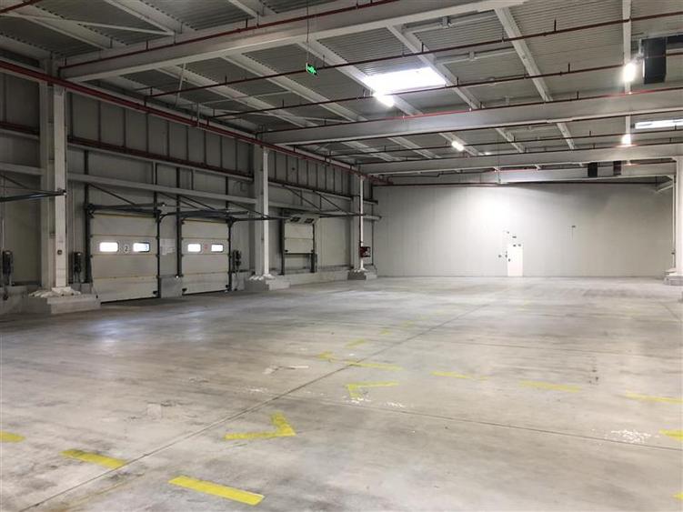 Spațiu industrial, de 1,500 mp, în Chiajna